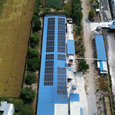 Hệ thống hoà lưới bám tải 120kwp cho trang trại chăn nuôi tại Phụng Hiệp - Hậu Giang