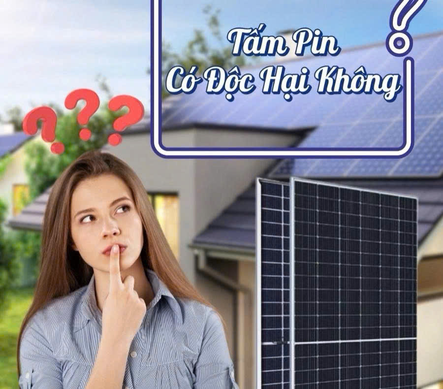 Tâm pin có đọc hại không