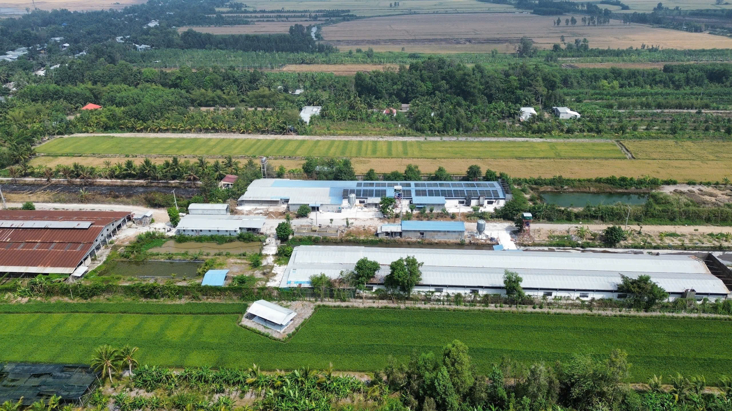 Hệ Thống Điện Mặt Trời Hòa Lưới Bám Tải 120kWp Tại Trang Trại Chăn Nuôi – Phụng Hiệp, Hậu Giang
