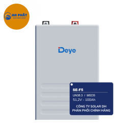 PIN LITHIUM DEYE